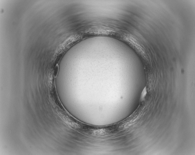 X0000086950309200705071450