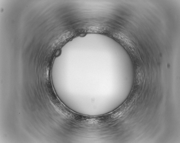 X0000086950310200705071450