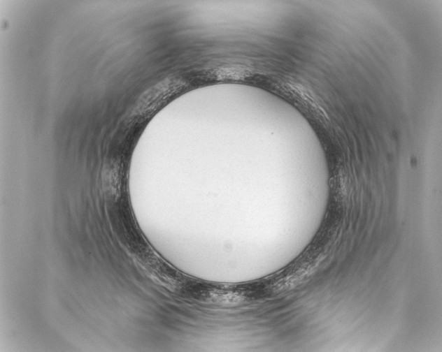 X0000086950311200705071450