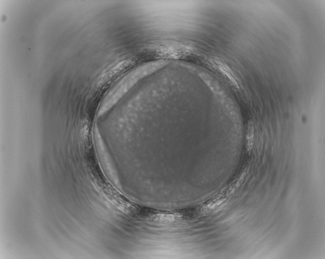 X0000086950314200705071450