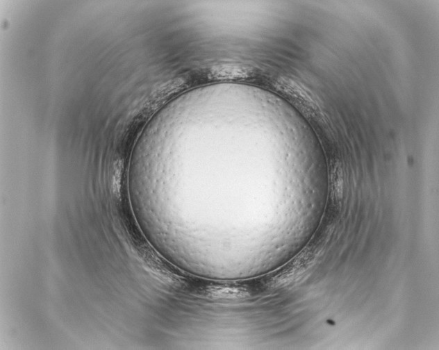 X0000086950315200705071449