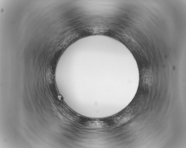 X0000086950316200705071449