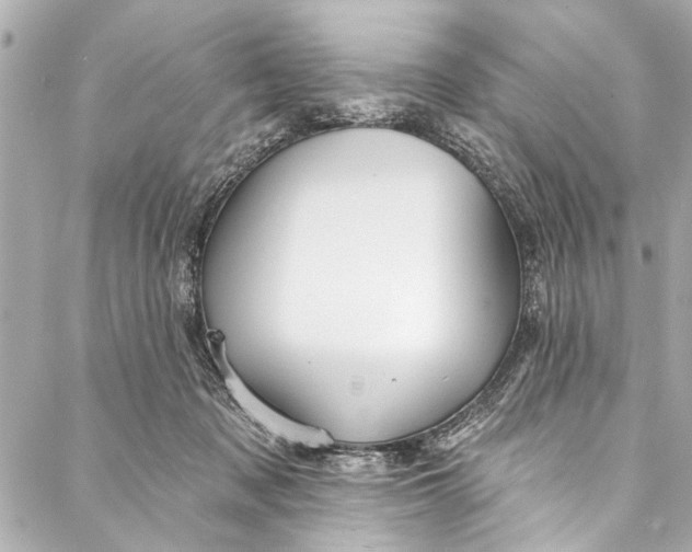 X0000086950317200705071449