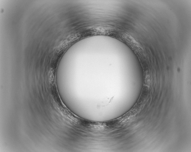 X0000086950318200705071449