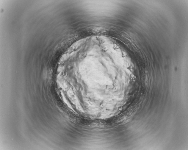 X0000086950319200705071449