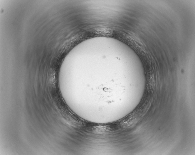 X0000086950320200705071449