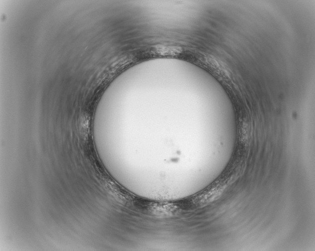 X0000086950321200705071449