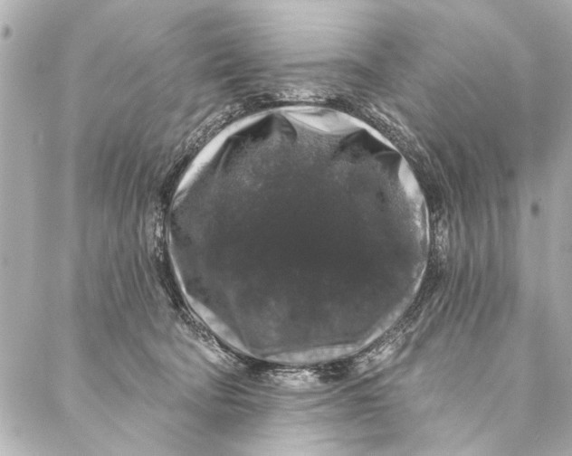 X0000086950322200705071449