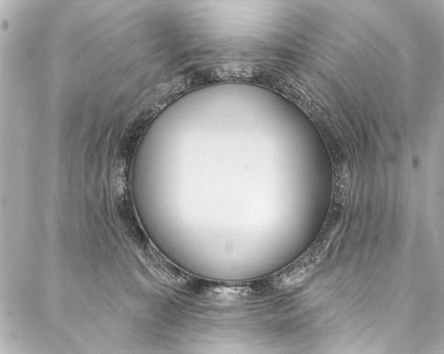 X0000086950323200705071449