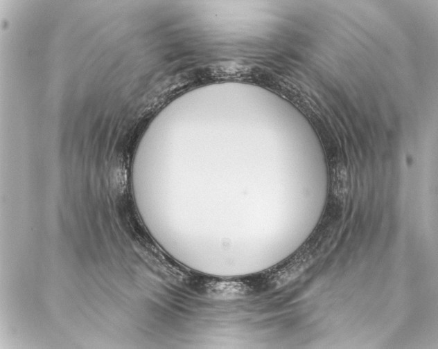 X0000086950324200705071449