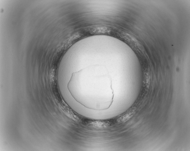 X0000086950326200705071449