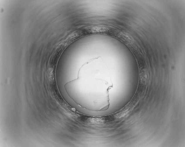 X0000086950327200705071449