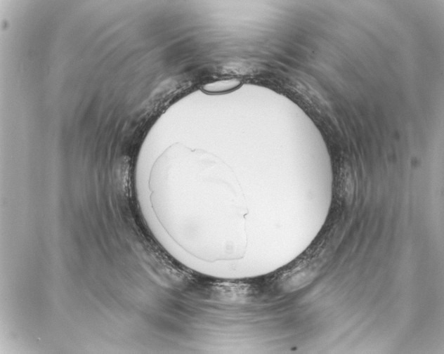 X0000086950328200705071449