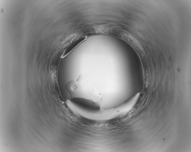 X0000086950329200705071449