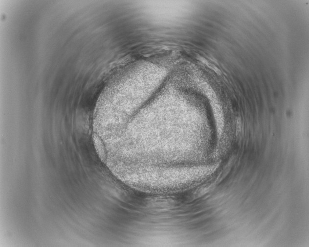 X0000086950331200705071449