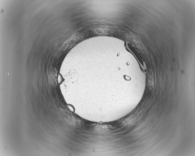 X0000086950332200705071449