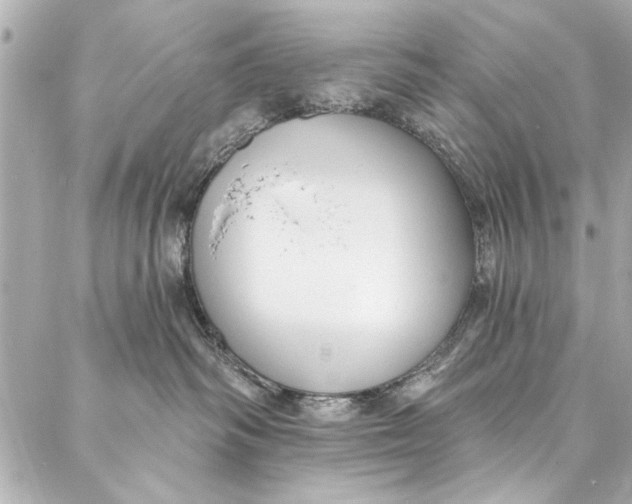 X0000086950334200705071449