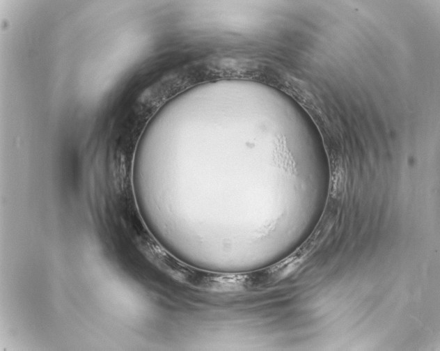 X0000086950335200705071449