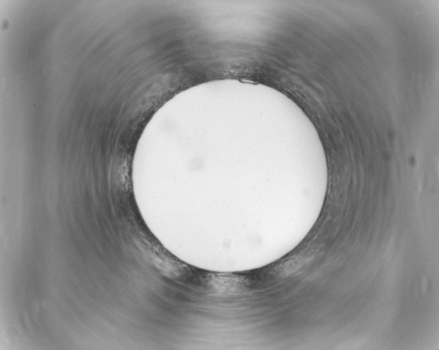 X0000086950336200705071449