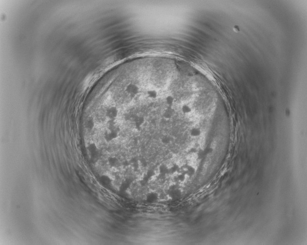 X0000086950337200705071448