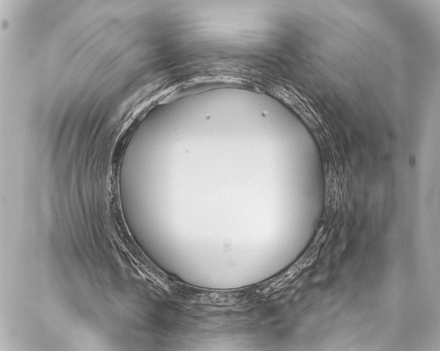 X0000086950338200705071448