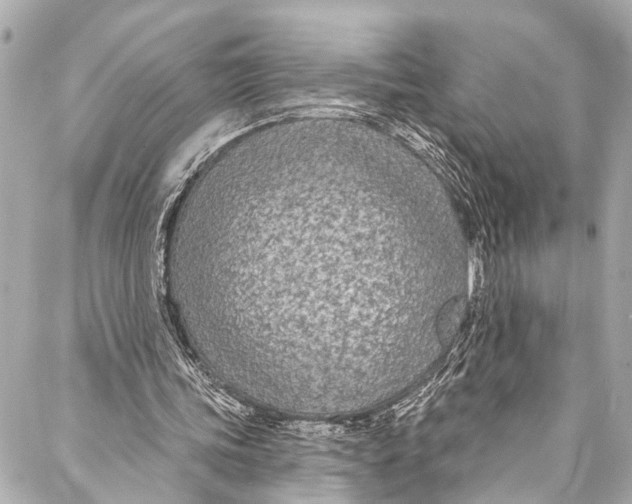 X0000086950339200705071448