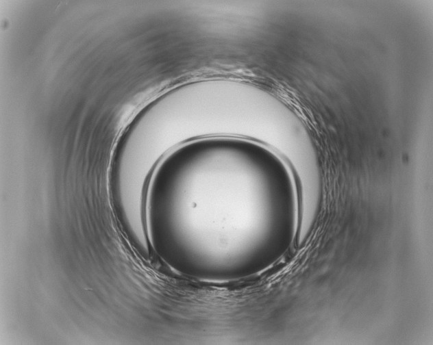 X0000086950340200705071448