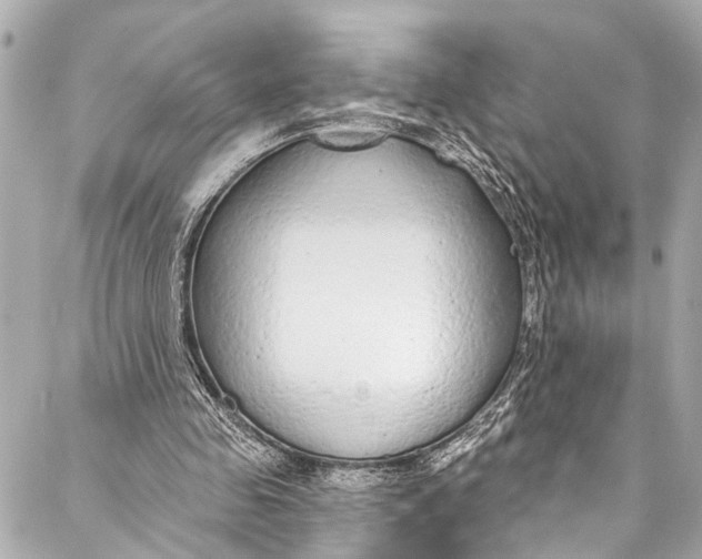 X0000086950341200705071448