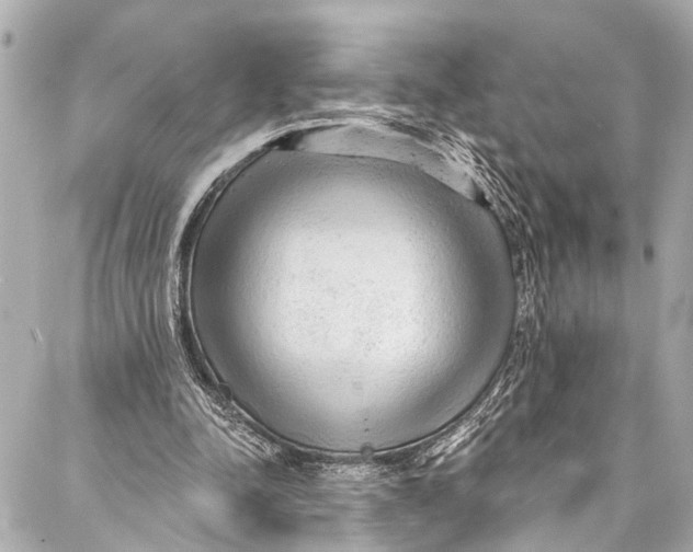 X0000086950342200705071448