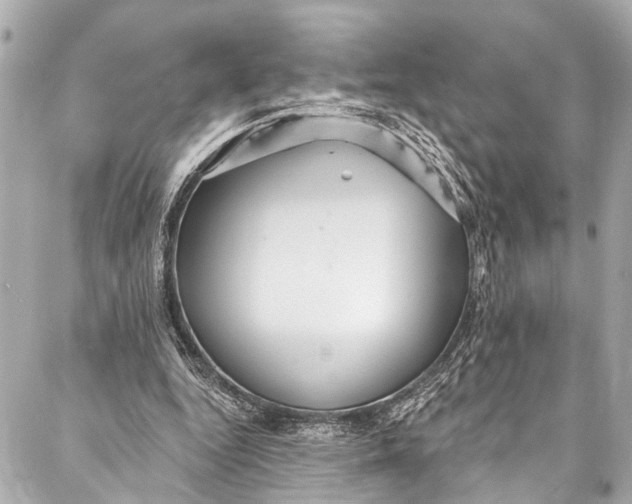 X0000086950344200705071448