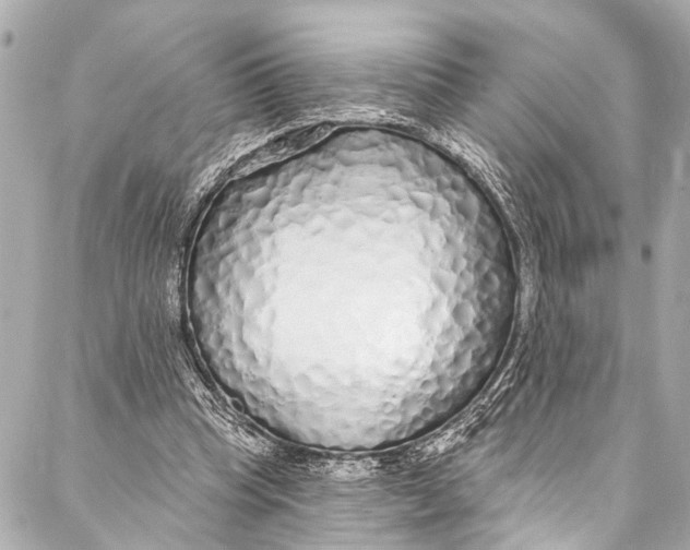 X0000086950345200705071448