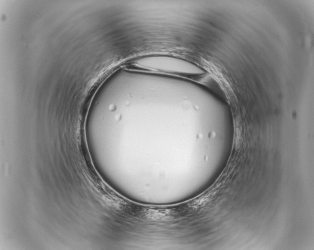 X0000086950346200705071449