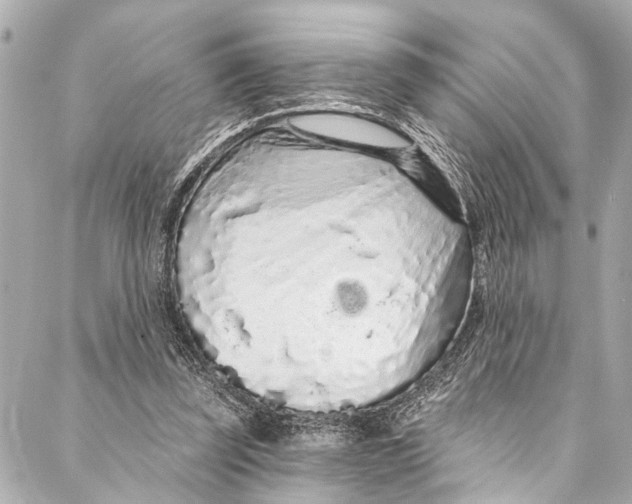 X0000086950347200705071449