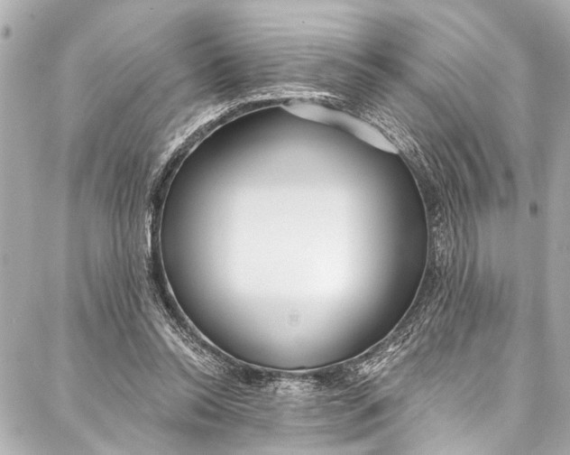 X0000086950350200705071449