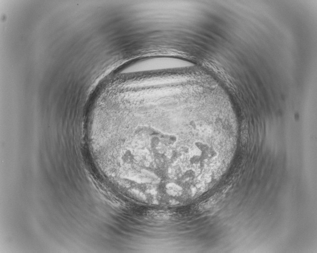 X0000086950351200705071449