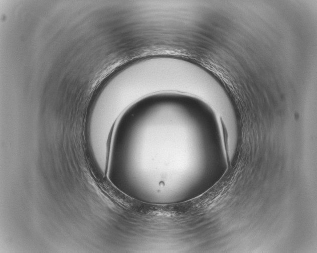 X0000086950352200705071449