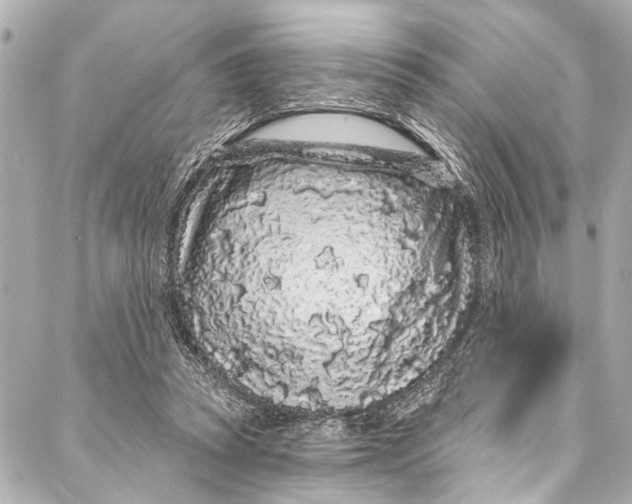 X0000086950353200705071449