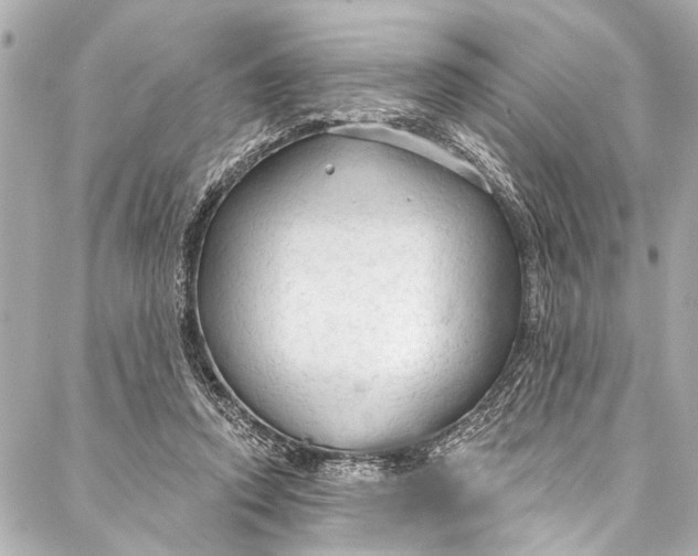 X0000086950354200705071449