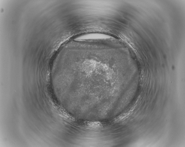 X0000086950355200705071449