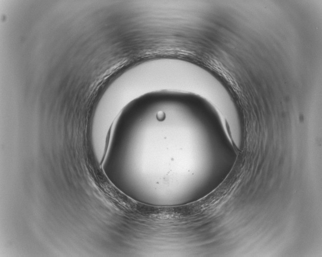 X0000086950356200705071449