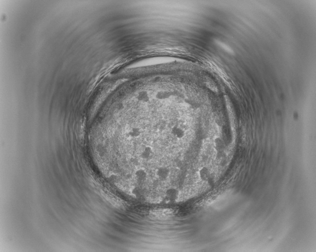 X0000086950357200705071449