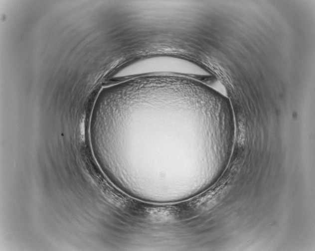 X0000086950358200705071449