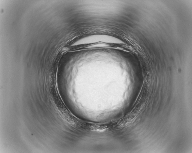 X0000086950359200705071449