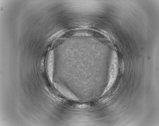 X0000086950360200705071449