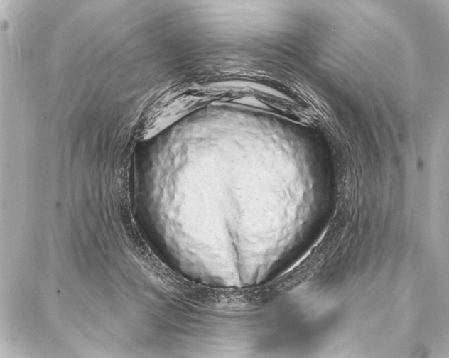 X0000086950361200705071449