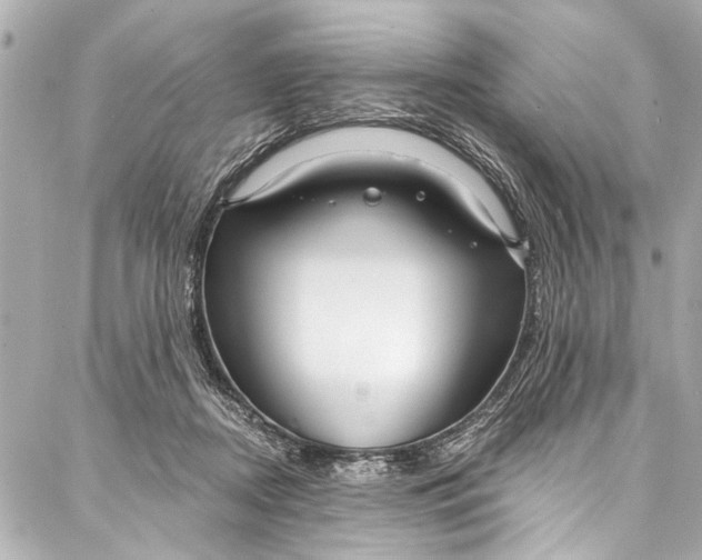 X0000086950362200705071449