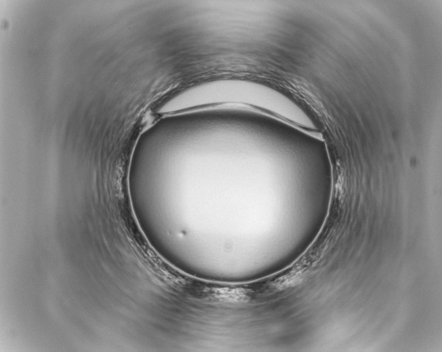 X0000086950363200705071449