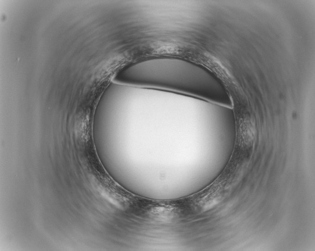 X0000086950364200705071449