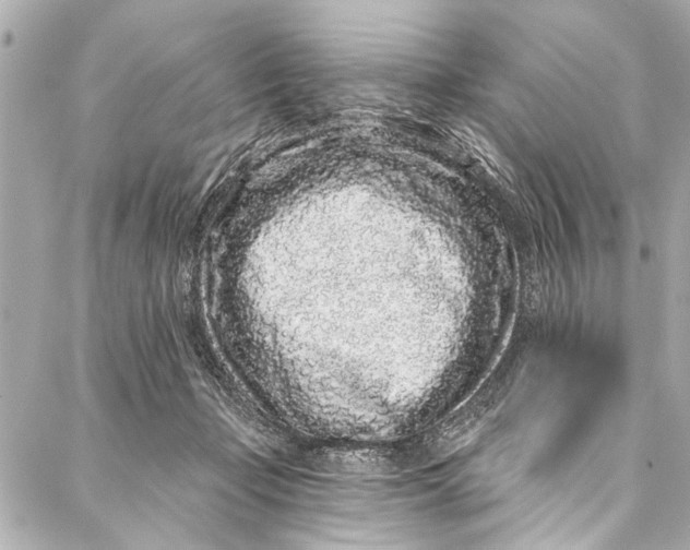 X0000086950365200705071449