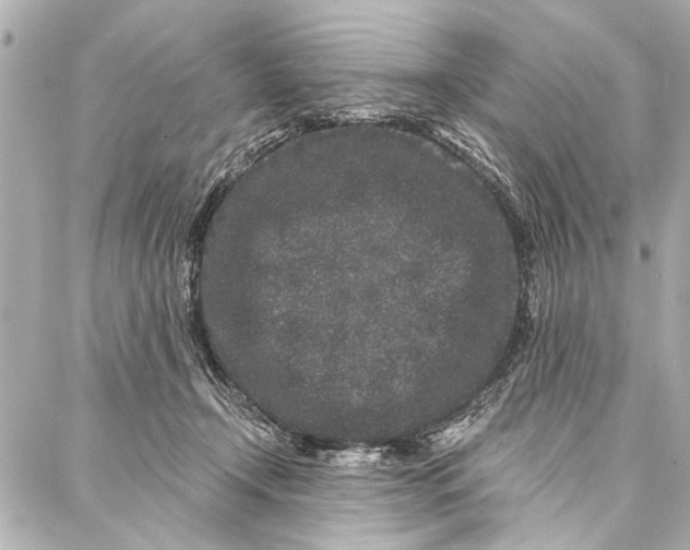 X0000086950366200705071449